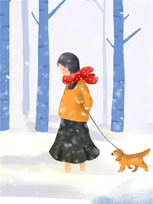 思美人小说