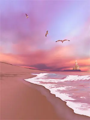 小白花